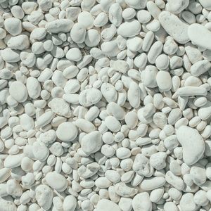 Meet your Posher, Lucy